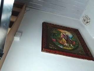 david-roussex webcam model stream image