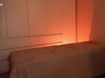 gimbobar webcam model stream image