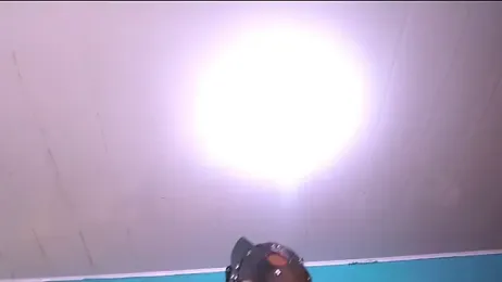 KaliAndLeon webcam model stream image