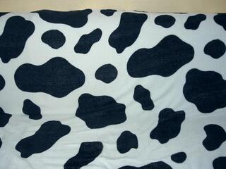 Acca Clemon webcam model stream image