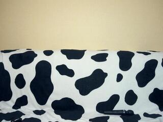 Acca Clemon webcam model stream image