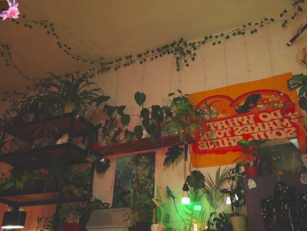 InkButtercup webcam model stream image