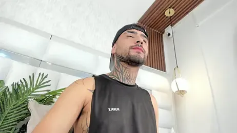 imferrer webcam model stream image