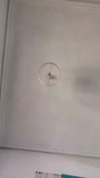 rizacanela webcam model stream image