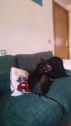 rizacanela webcam model stream image