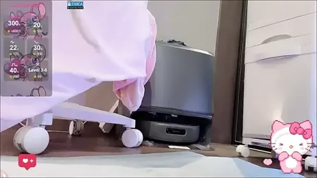 fog- webcam model stream image