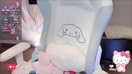 fog- webcam model stream image