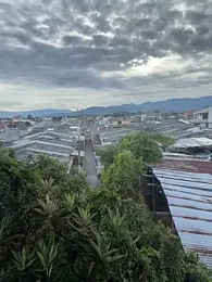 Elferjuan1310 webcam stripchat model stream image