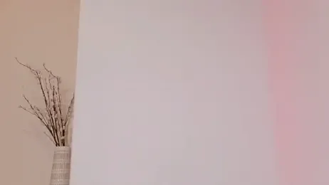 FrenchLearningEnglish webcam model stream image