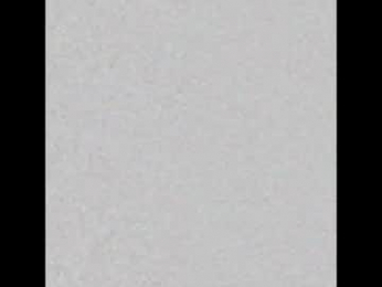 alexdimartino webcam model stream image