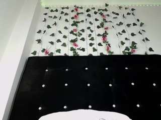 maxlemus webcam model stream image