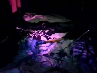 secretsexpert webcam camsoda model stream image