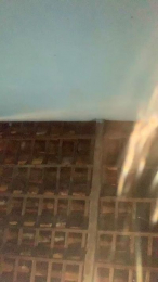 novinhosacana19 webcam model stream image