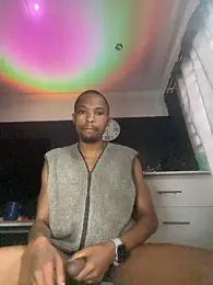 BlueIceCube webcam model stream image