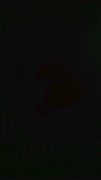 Tumorvosa webcam model stream image