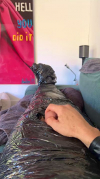 FrankGC2 webcam model stream image