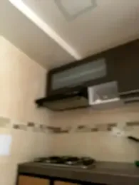 Nicollemays webcam model stream image