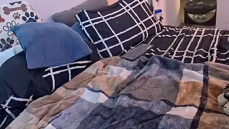 pyrowuff webcam model stream image