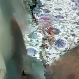 desi_pb02 webcam model stream image