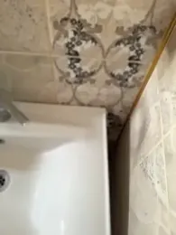 Devils__den webcam model stream image