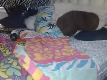 sharlot03 webcam model stream image