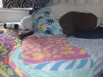 sharlot03 webcam chaturbate model stream image