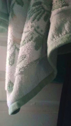 LosAngeles323 webcam cam4 model stream image