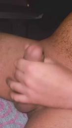 Pinguino08 webcam model stream image