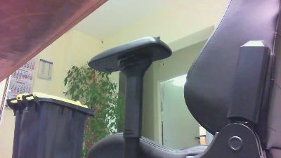 callmem1 webcam model stream image