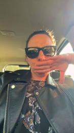 Elydea webcam model stream image