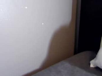 yslriver webcam model stream image