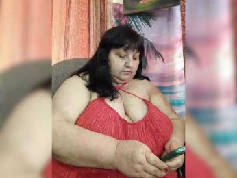 Nezsbudka webcam model stream image