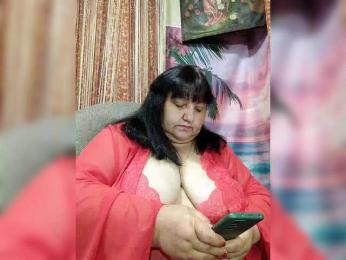 Nezsbudka webcam model stream image