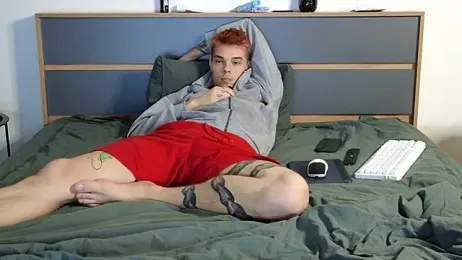 DENIS_HERE webcam model stream image