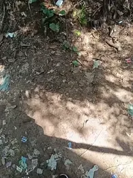 UrsoBissexualPauGrosso webcam stripchat model stream image