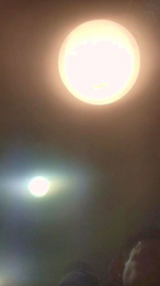 viteperromad webcam model stream image