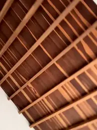 curchez_ webcam model stream image