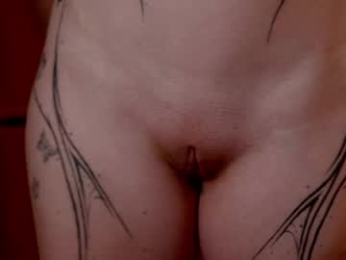 ho1yh01e webcam model stream image