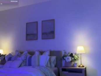 mishapalmer webcam model stream image