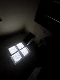 Merlin2310 webcam model stream image