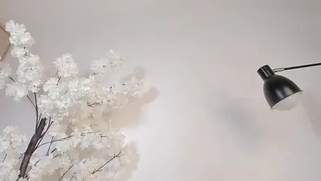 sweetsalice__ webcam model stream image