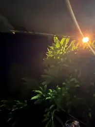 Daniel-900 webcam model stream image