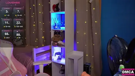 dgokonda webcam model stream image