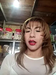 Evehamp webcam model stream image