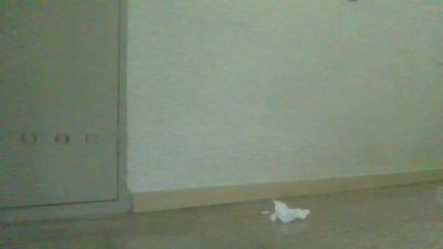 diversing_fun webcam model stream image