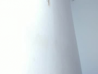 tamy_leen webcam model stream image