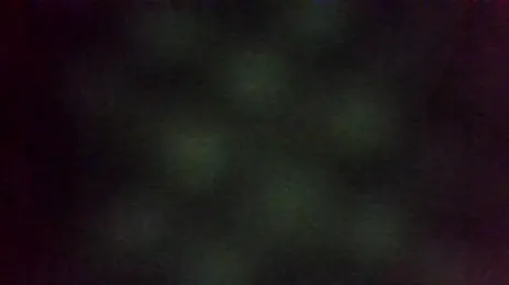 Kenner_fox77 webcam stripchat model stream image