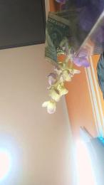 Jesi_Catler webcam model stream image