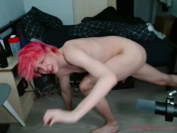 polarny05 webcam model stream image