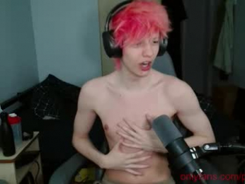 polarny05 webcam model stream image